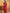 kasee Embellished Beads and Stones Silk Blend Saree