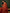 Sangria Embroidered A-Line Kurta & Trousers With Dupatta
