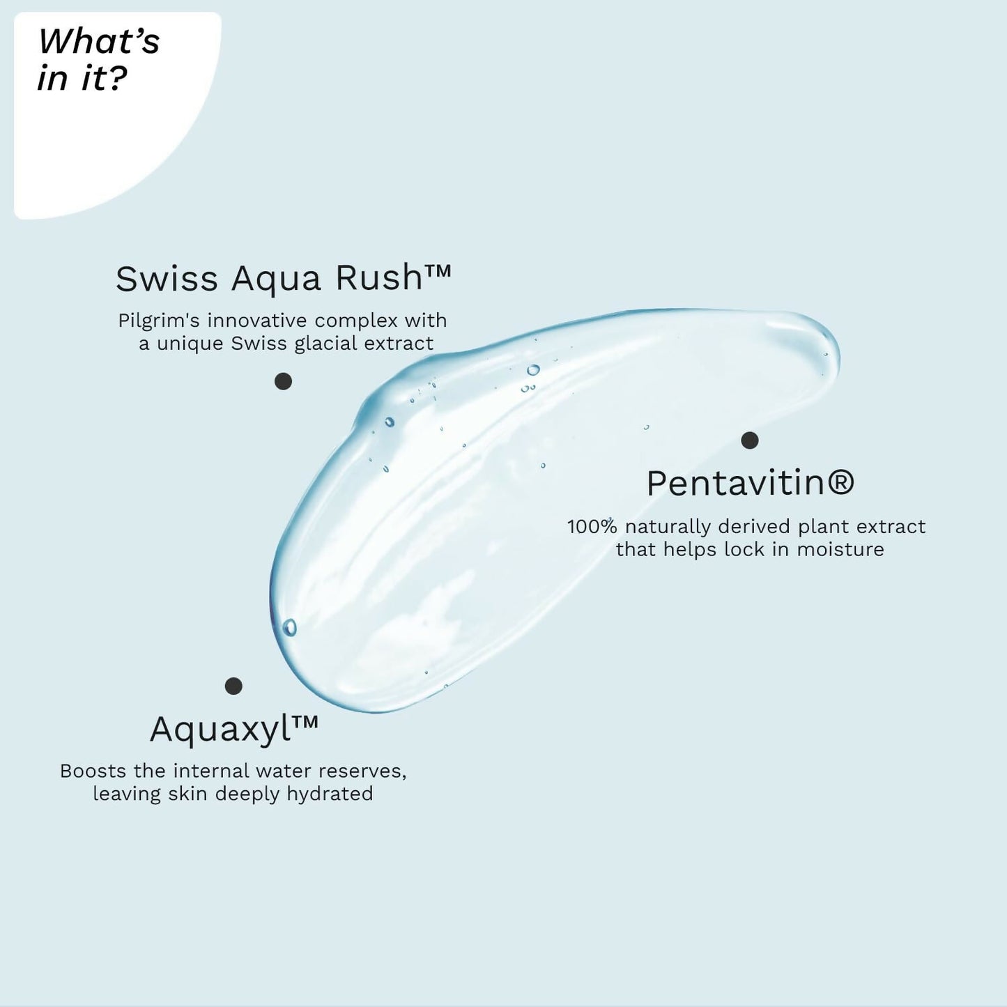 Pilgrim Swiss Aqua Rush Hydrating Face Wash, Refreshes Skin & Restores Hydration - Distacart