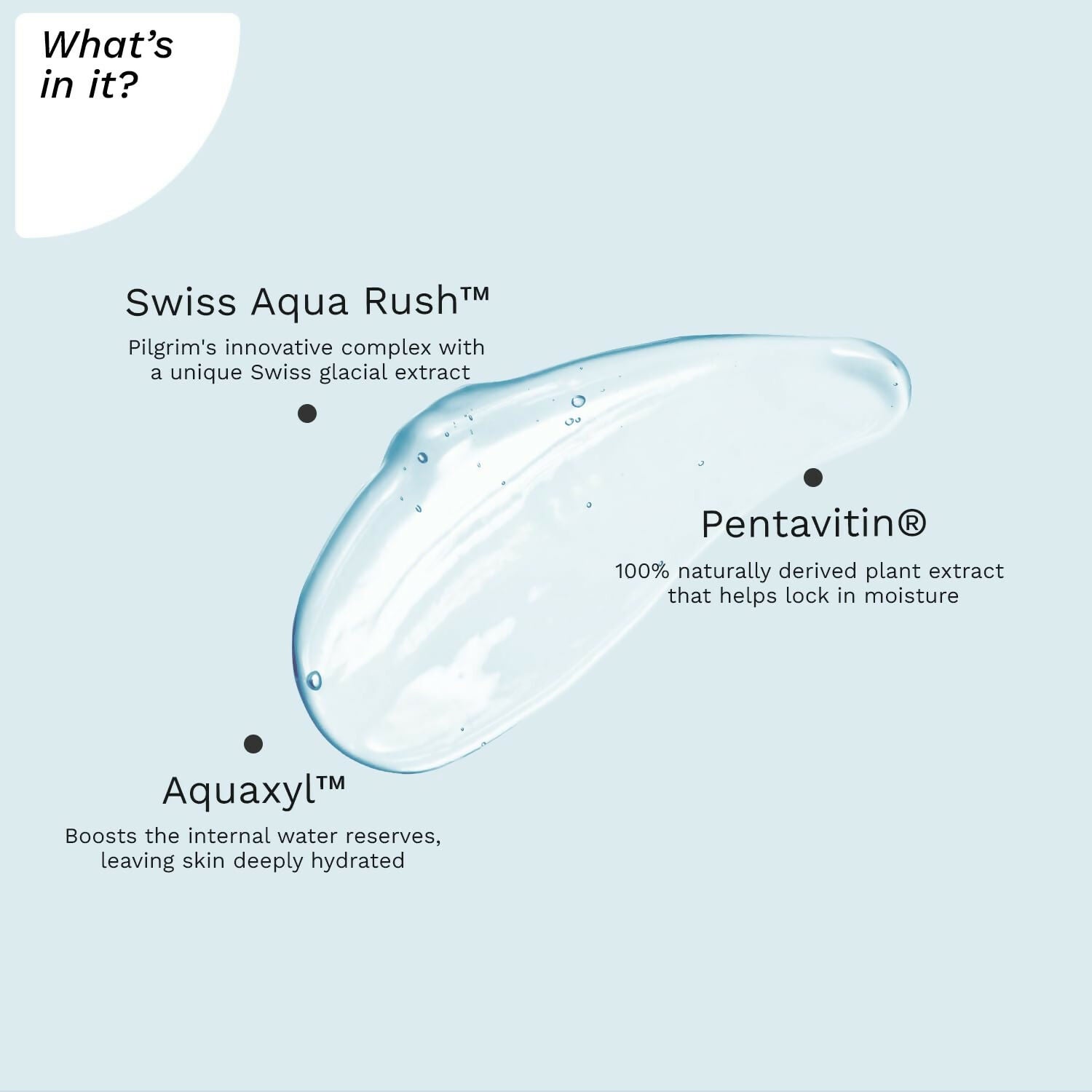 Pilgrim Swiss Aqua Rush Hydrating Face Wash, Refreshes Skin & Restores Hydration - Distacart