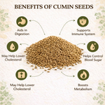 Thumbnail for Village-Organica Whole Cumin Seeds - Dista