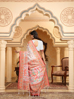Thumbnail for Astita Linen Cotton(Woven Work) Multicolour Saree