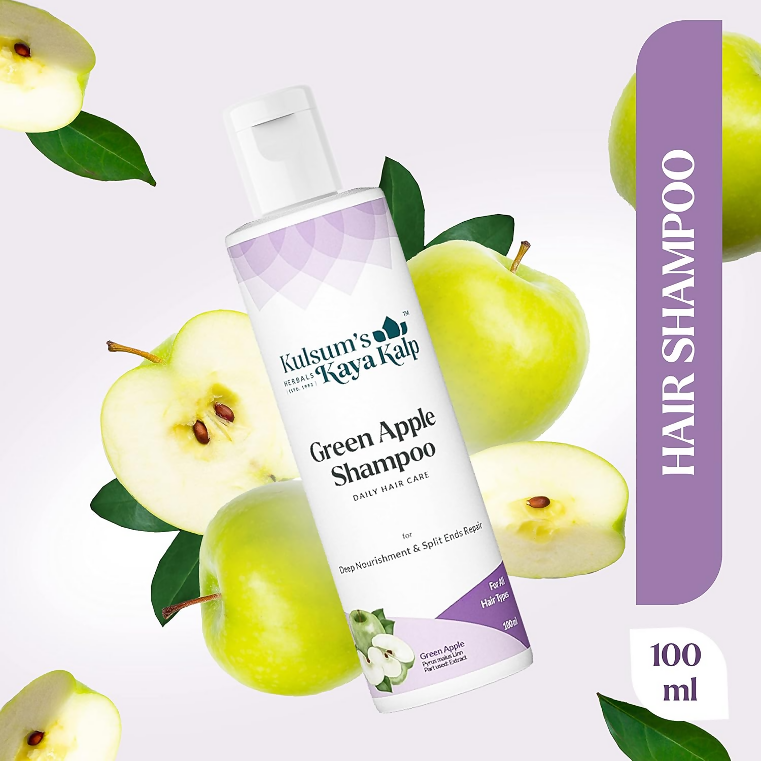 download - 2024-09-30T162209.569