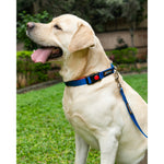 Thumbnail for Waggety Dog Leash - Durable Blue Polyester, Length - 5Ft, Comfortable Grip, Stylish Pet Leash for Dogs