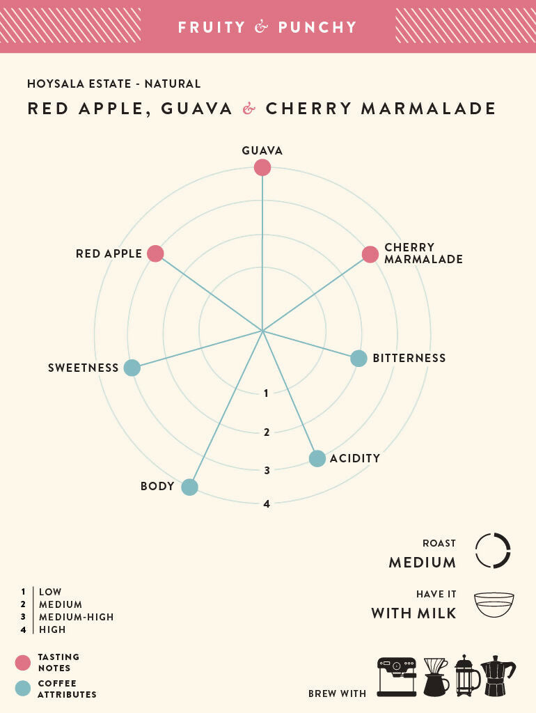 Blue Tokai Hoysala Estate - Natural - Distacart