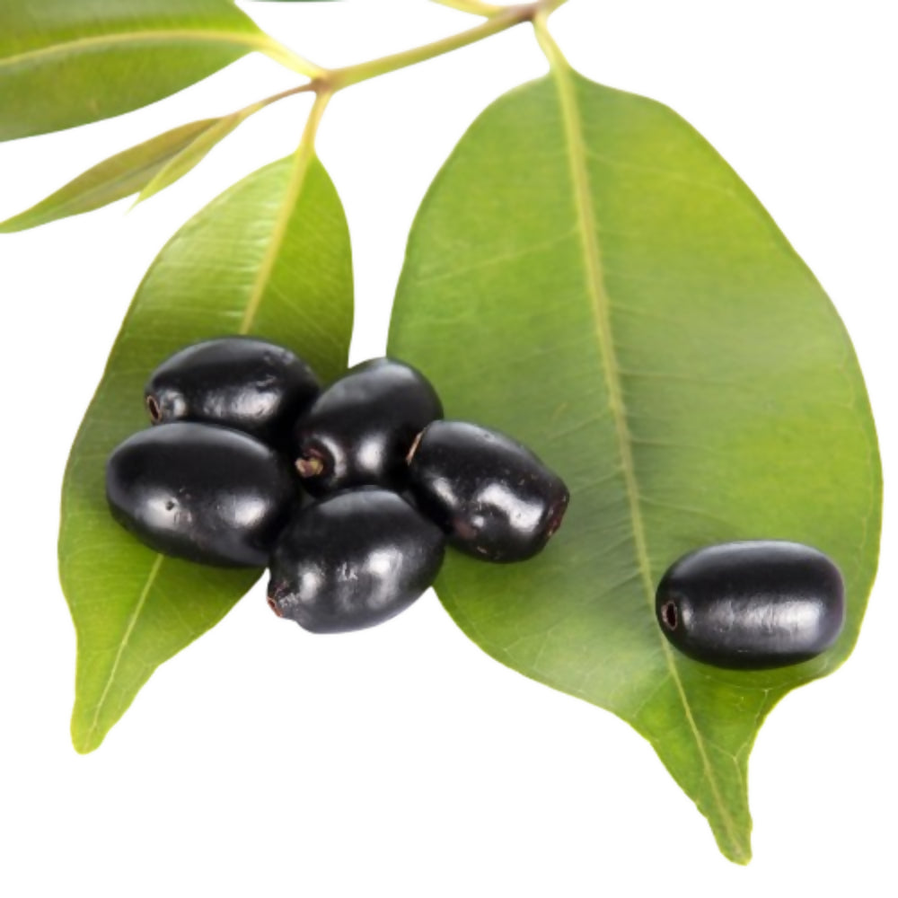 Nxtgen Ayurveda Jamun Seed Powder