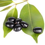 Thumbnail for Nxtgen Ayurveda Jamun Seed Powder