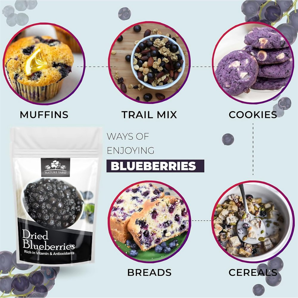 Nature Yard Blueberry Dried Without Sugar - Distacart