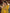 Yufta Yellow Pure Cotton Dori_Embroidery Kurta Trouser With Dupatta Set - Distacart