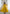Lorenvalley Fashion Yellow Pure Romansilk Chanderi Fabric Yoke Fancy Lace Work Anarkali Kurta Pant With Dupatta Set