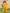 J4929MUSTARD (1)-2000x2667