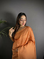 Thumbnail for Joban Fashion Orange Banarasi Soft Lichi Silk Checks & Woven Saree