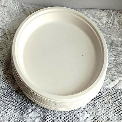 Disposable Round Plane Plates Big - Distacart