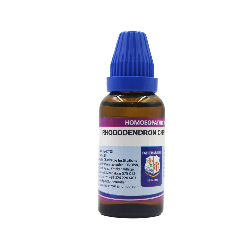 Father Muller Rhododendron Chrysanthum Dilution - Distacart