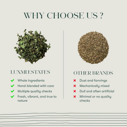 Luxmi Estates Pure Peppermint Organic Herbal Infusion - Dista
