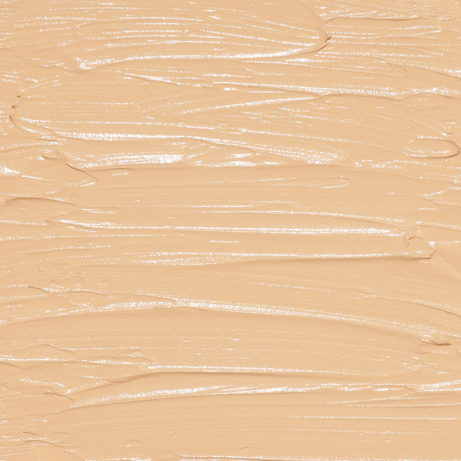 PAC Studio Hd Concealer - Sheesham - Distacart