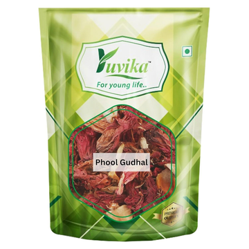 Yuvika Gudhal Phool - Jaswand - Hibiscus Rosa Sinensis - Hibicus Flower - Distacart