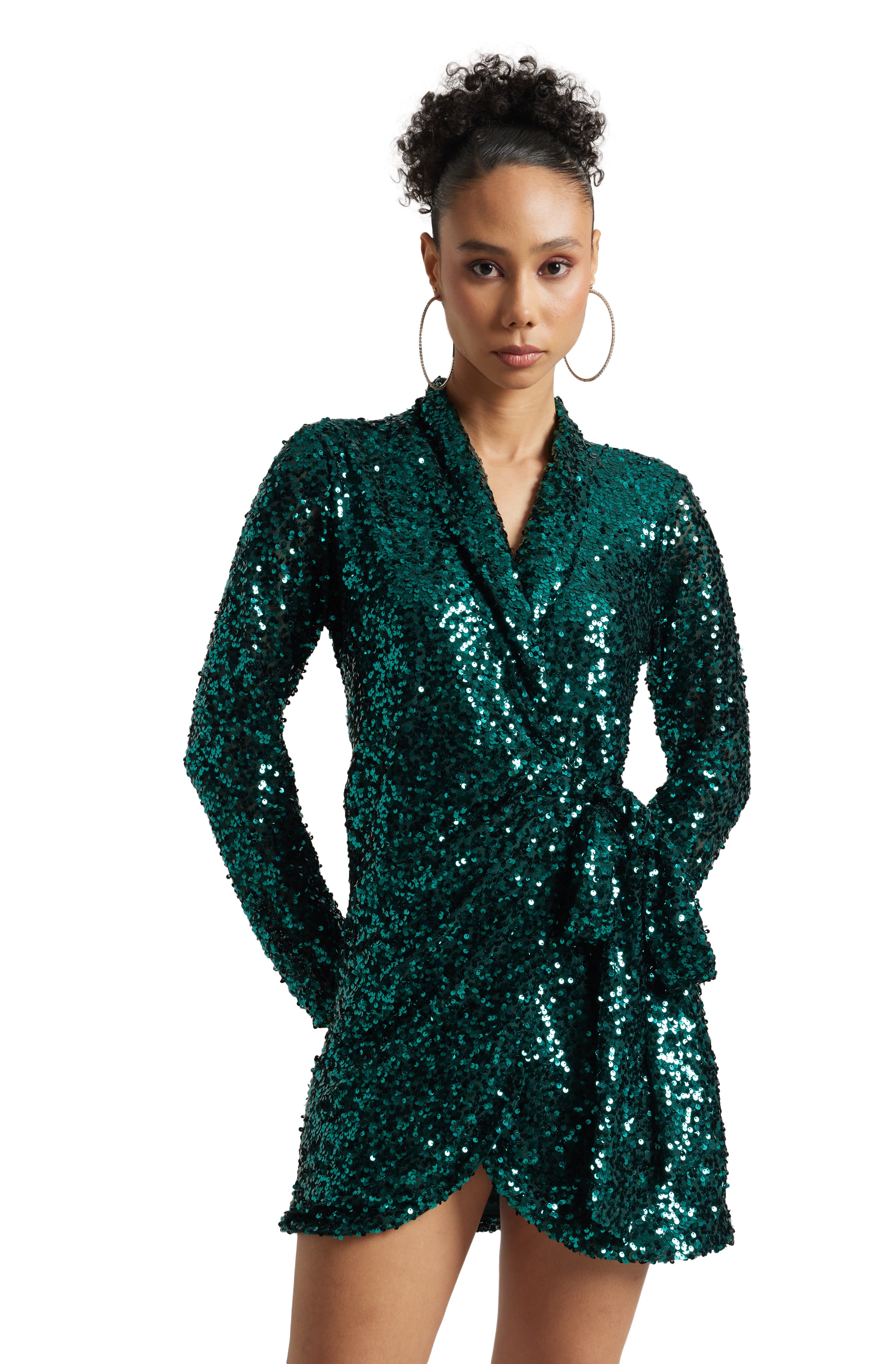Zaccai Women's Green Poly Elastane Sequined Dress - Distacart