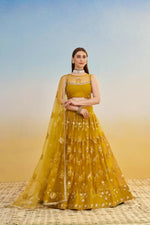 Thumbnail for Aastha Fashion Mustard Yellow Butterfly Net Tone To Tone Cotton Thread Work And Sequence Work Embroidery Wedding Wear Lehenga Choli - Distacart