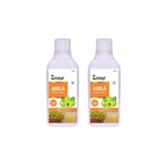 Thumbnail for Zindagi Amla Premium Juice (Sugar Free)