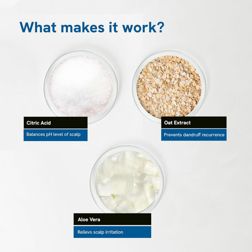 download - 2025-02-05T180526.262