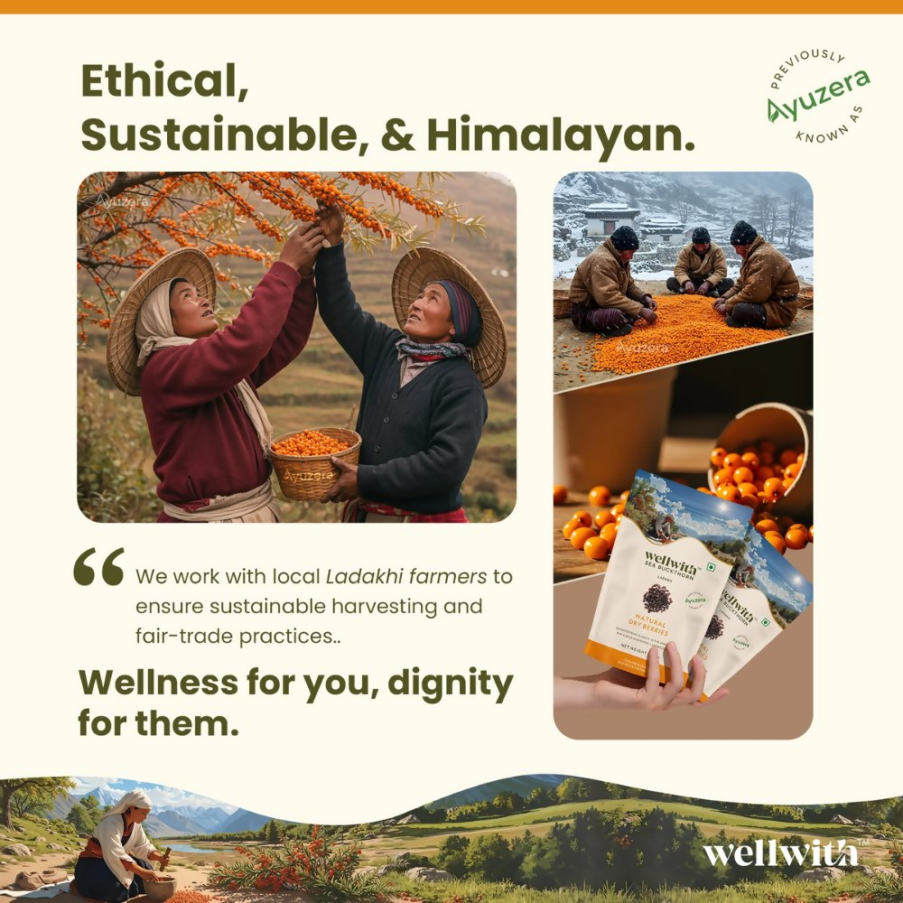 Wellwith Sea Buckthorn Dry Berry - Distacart