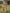 Astita Banarasi Silk Pink Saree