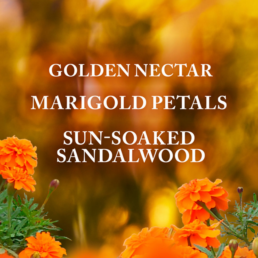 download - 2025-03-26T183513.930