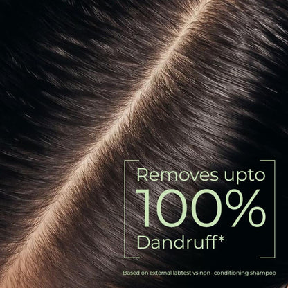 Naturali Dandruff Defence Shampoo With Cactus Extract, Tea Tree Oil & Climbazole - Distacart