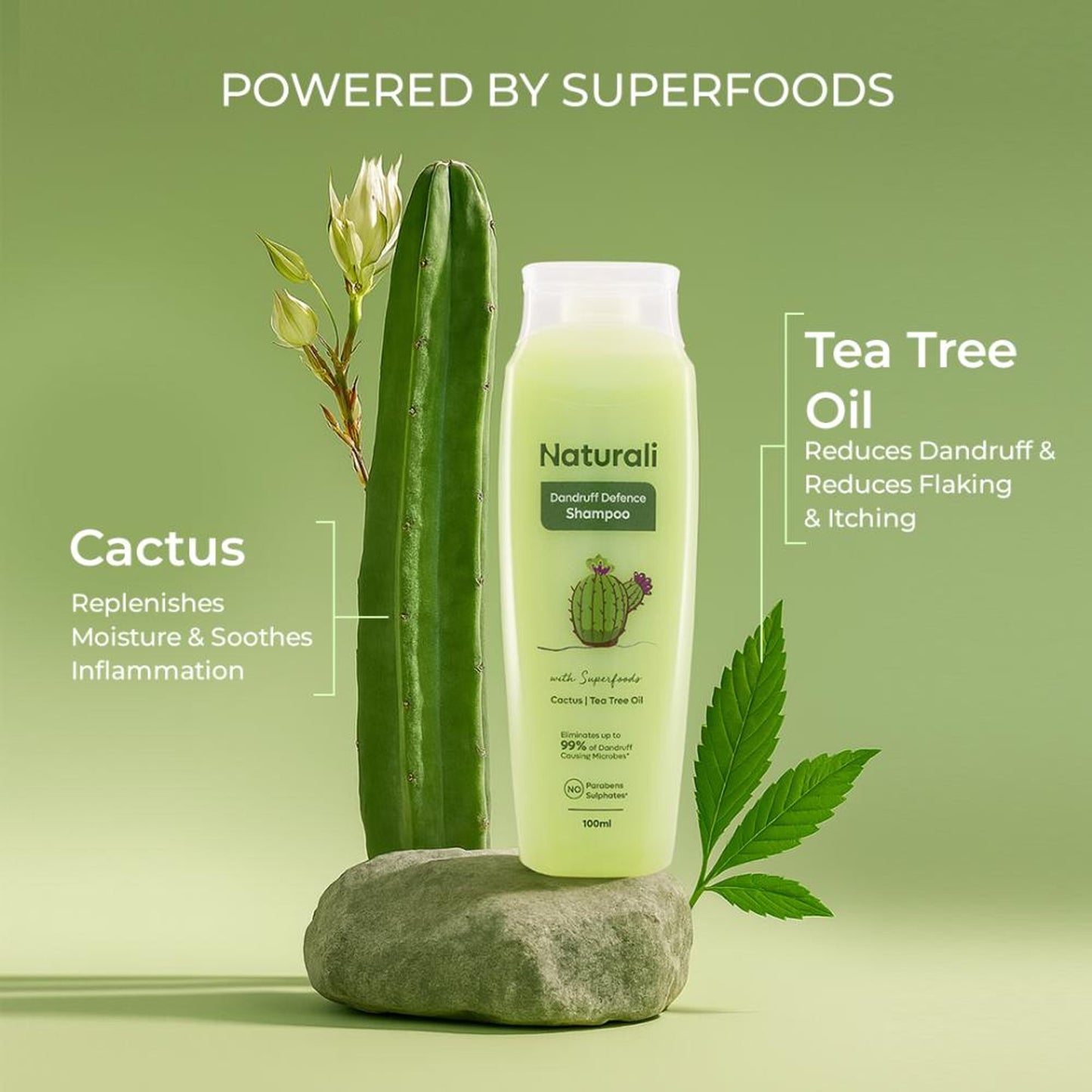 Naturali Dandruff Defence Shampoo With Cactus Extract, Tea Tree Oil & Climbazole - Distacart