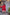 Preksha Creation Indian Women Red Alia Cut Gown Pure Chinon Silk & Crush With Embroidery Work With Fancy Full Sleeves With Palazzo and Dupatta - Distacart