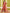 Vishudh Coral Round Neck Embroidery Straight Kurta & Palazzos With Dupatta