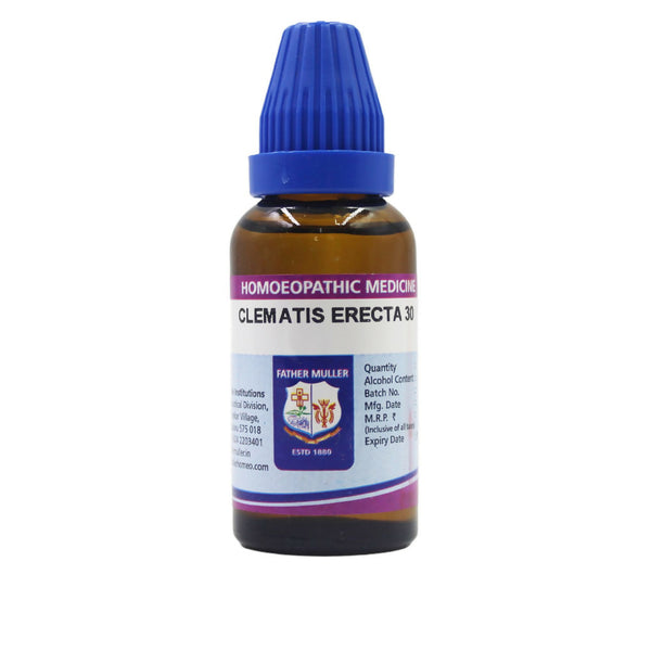 Father Muller Clematis Erecta Dilution - Distacart