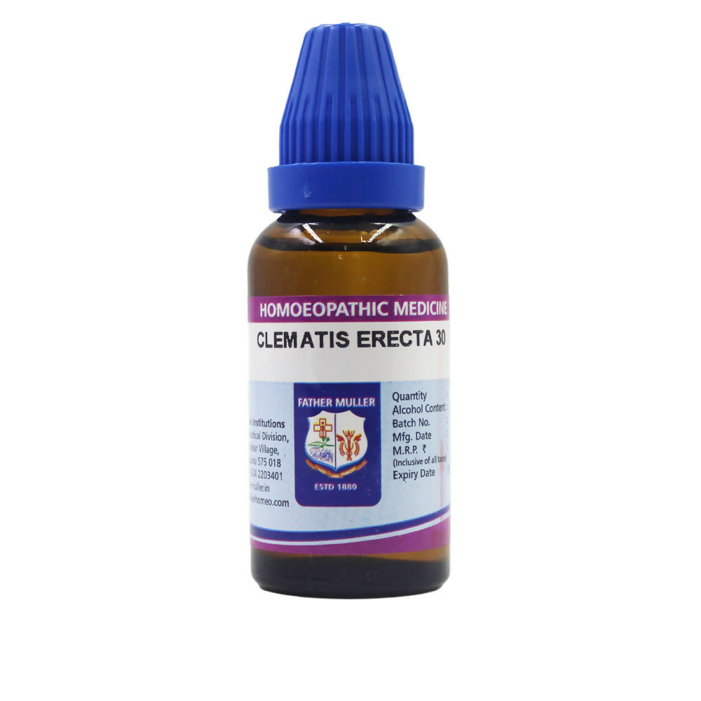 Father Muller Clematis Erecta Dilution - Distacart