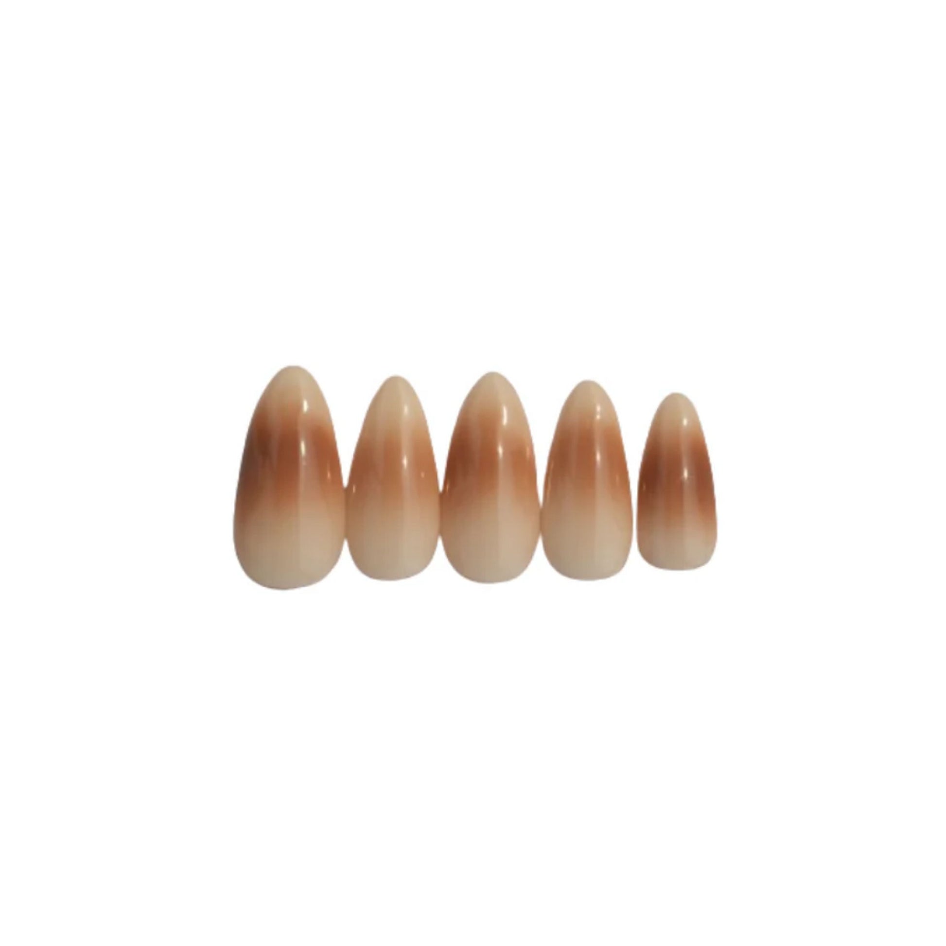 SOEZI Cafe Delight Reusable Press On Nails - Application Kit - Distacart