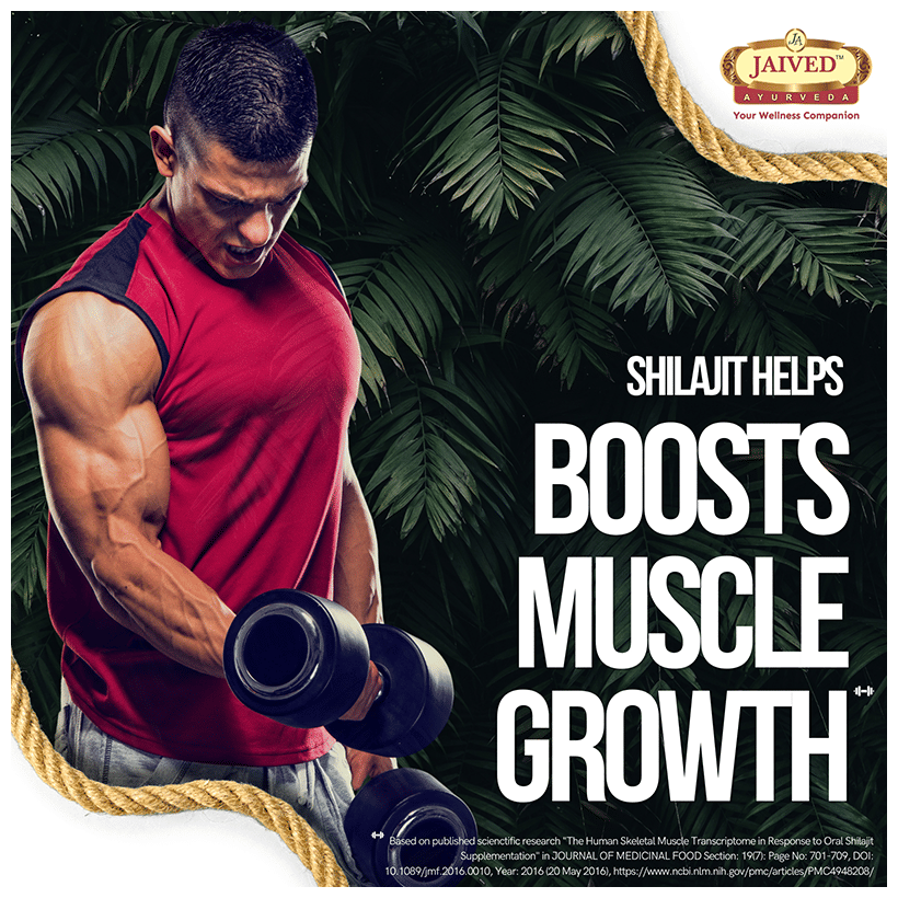 Jaived Ayurveda Sj Resin | For Energy, Strength & Male Vitality Resin