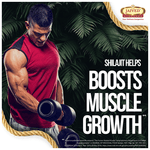 Thumbnail for Jaived Ayurveda Sj Resin | For Energy, Strength & Male Vitality Resin