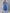 AURELIA A-Line Midi Dress