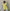 ArthLife Yellow Flower Embroidered Lace Dress - Distacart