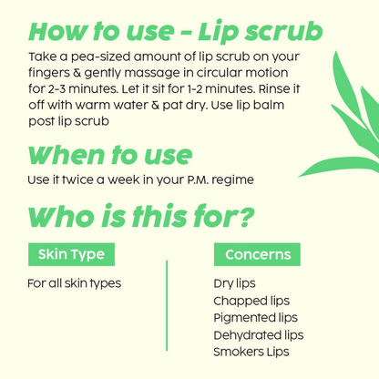 PLIX The Plant Fix Pomegranate Plump Lips, Puddin Mask & Scrub With Peeling Potion - Distacart