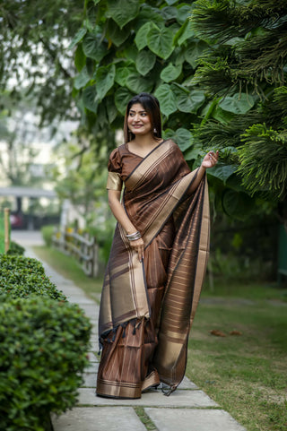 Vishnu Weaves Women's Coffee Raw Silk Saree with Blouse - Distacart