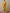 Ode by House of Pataudi Yellow Ethnic Motifs Straight Kurta & Trousers With Dupatta - Distacart