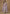 Vegaa Fashion Lavender Simar Silk Embroidered Designer Palazzo Suit