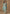 Vegaa Fashion Sky Blue Simar Silk Embroidered Designer Palazzo Suit