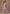 Vegaa Fashion Onion Pink Chinon Silk Embroidered Deiigner Palazzo Suit