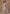 Vegaa Fashion Light Pink Chinon Silk Embroidered Deiigner Palazzo Suit