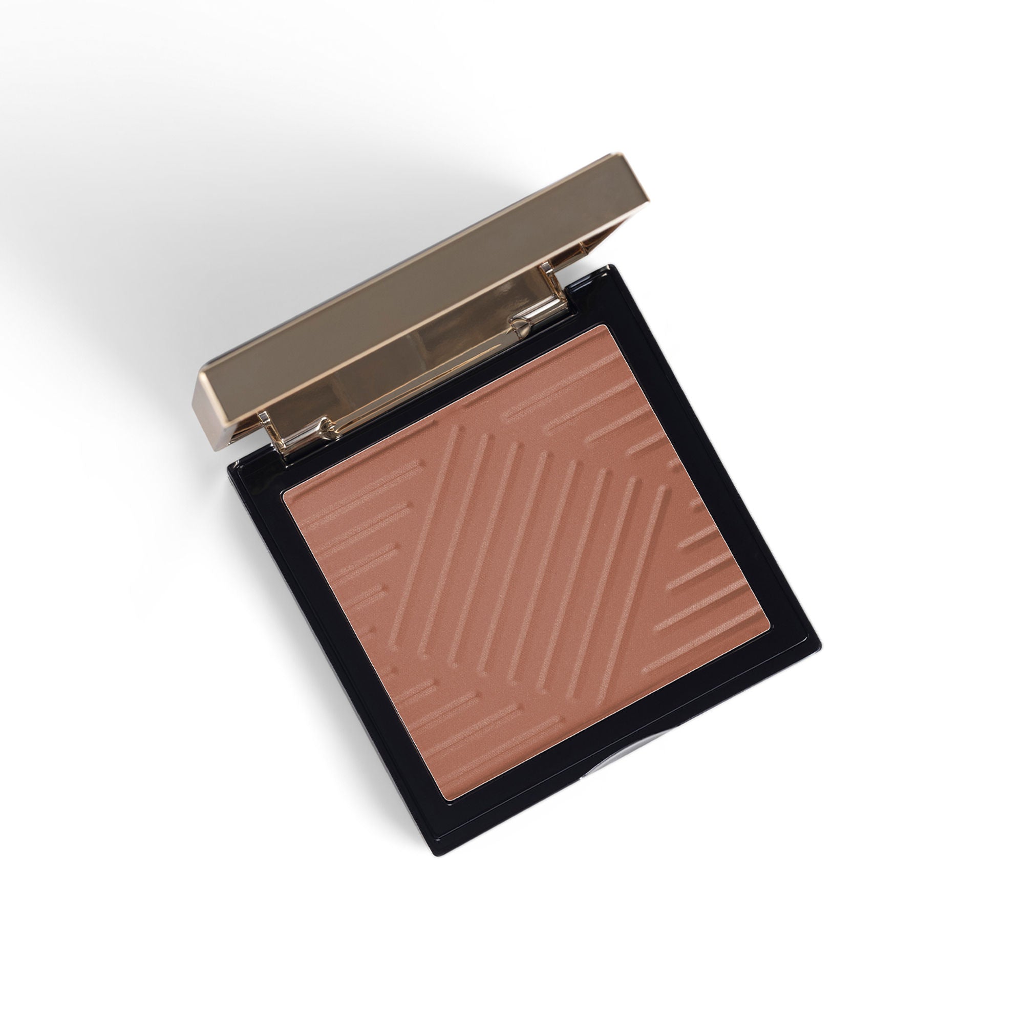 PAC Studio Spotlight Blush - Retake - Distacart