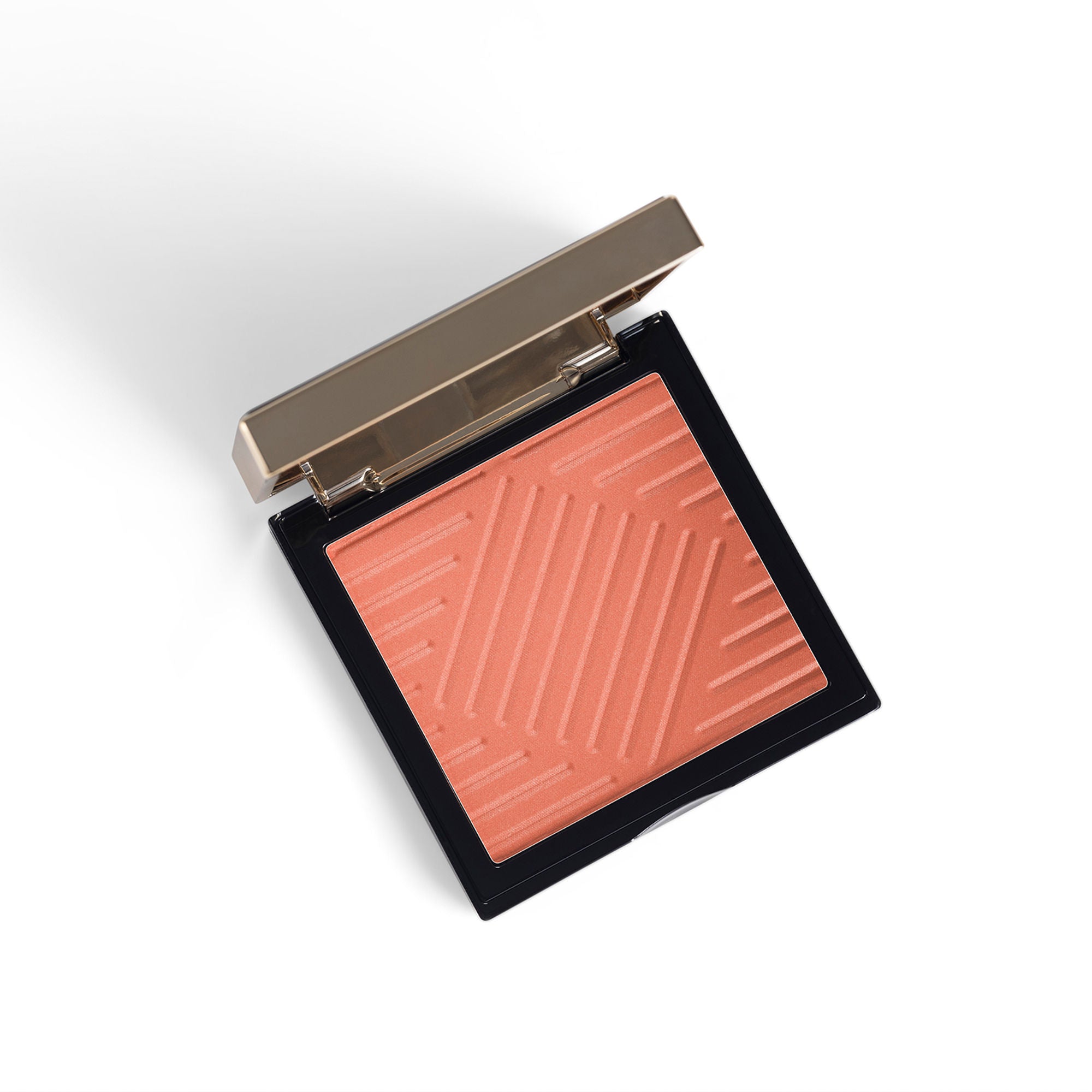 PAC Studio Spotlight Blush - Action - Distacart