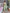 Anouk Green & Pink Floral Embroidered Organza Saree - Distacart