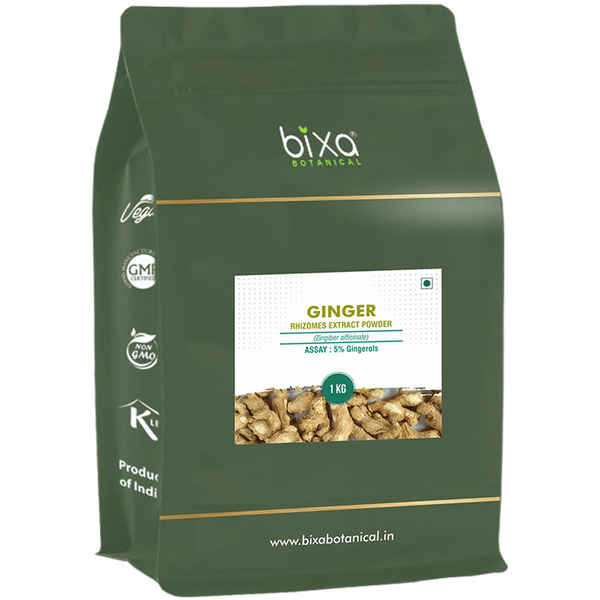 Bixa Botanical Ginger Rhizome Extract Powder